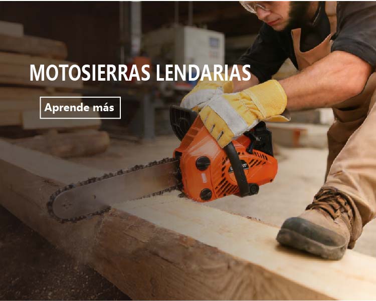 微信图片_2026-01-31_172537_000