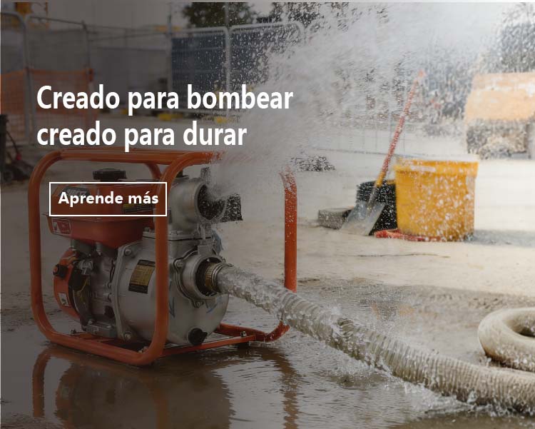 微信图片_2026-01-31_172433_233