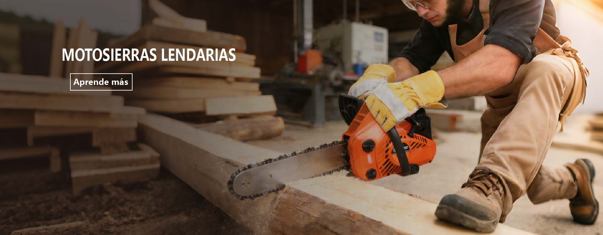 微信图片_2026-01-31_172328_304